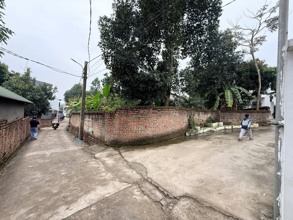 Đất Nền 80m² Giá 2 Tỷ Tại Trung Tâm TP. Việt Trì - Sẵn Sàng Xây Dựng