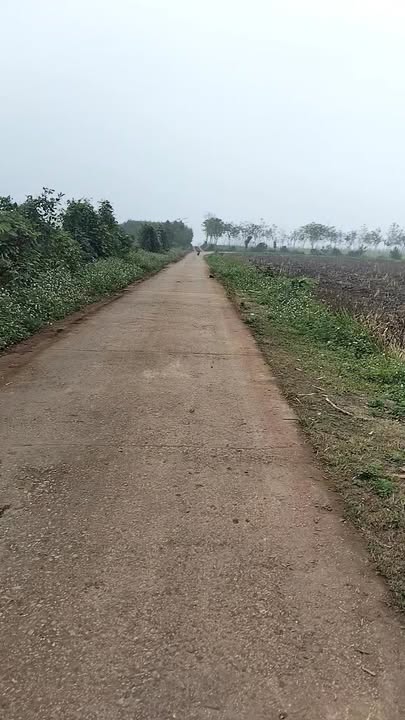 Đất RSX Nghĩa Đàn 1.7ha giá chỉ 1 tỷ - Pháp lý rõ ràng!