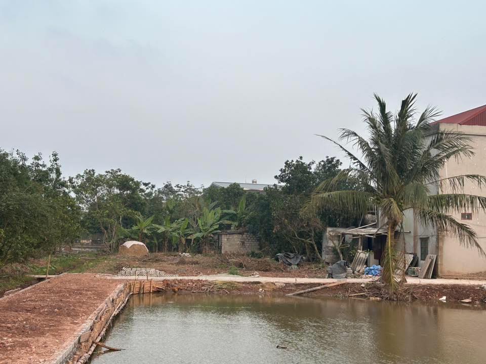 Đất nền 160m² thổ cư tại Nghĩa Hưng - Giá nhỉnh 1 tỷ, sẵn sàng xây nhà