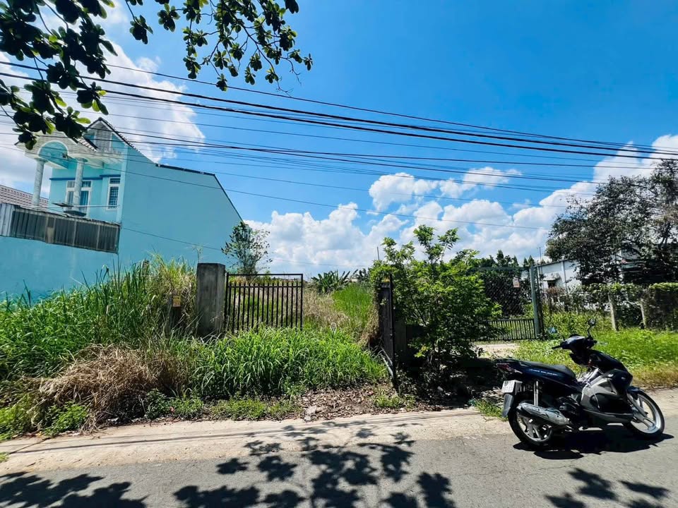 Bán Đất Mặt Tiền Tân Thông Hội, Củ Chi - 211m² Sổ Riêng, Giá 3.8 Tỷ