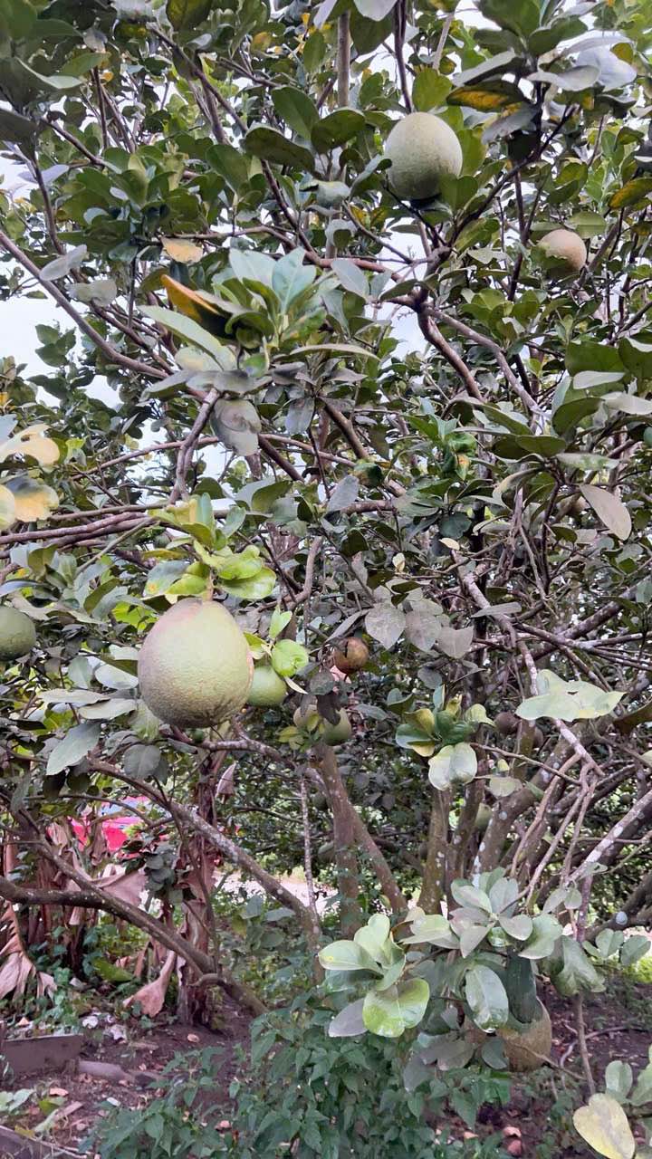 Đất nền Thôn A Xay, Khánh Nam 126m² - Giá F0 139 Triệu