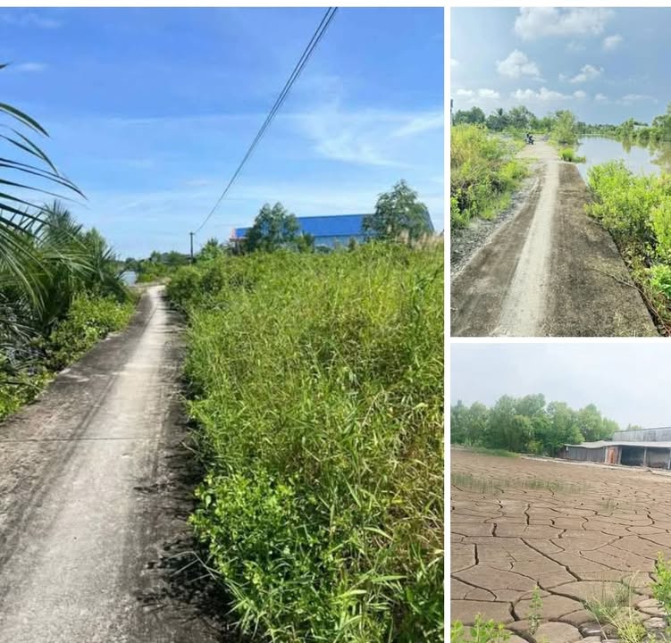 Đất nền Sông Đốc, Cà Mau 300m² chỉ 280 triệu - Sổ hồng chính chủ