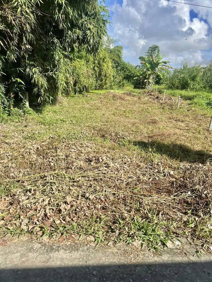 Đất Nền Kênh Cà Lang Châu Thành Kiên Giang 319.5m² - Sổ Đỏ Thổ Cư