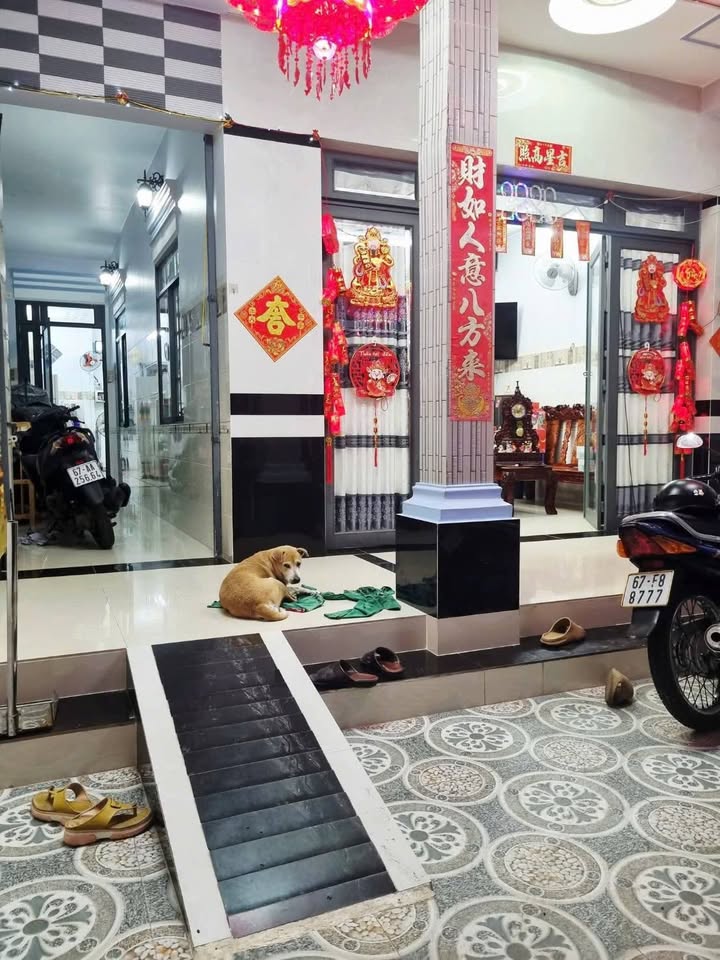 Bán nhà cấp 4 Mỹ Thới, Long Xuyên - 102m² sổ đỏ, 2PN, giá 1 tỷ