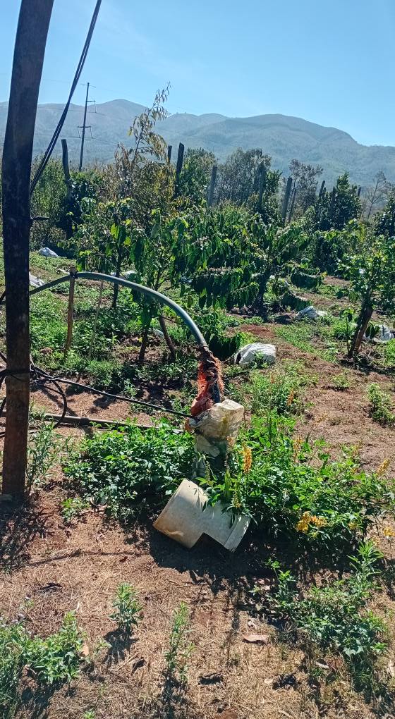 Đất Nền Buôn Hồ 2590m² - Sổ Hồng Sẵn Sàng - Giá Đầu Tư 1.25 Tỷ