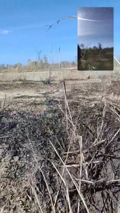 Đất nền 4.1 ha Xã Ia Mơ, Gia Lai - Nguồn nước quanh năm, tiềm năng lớn!