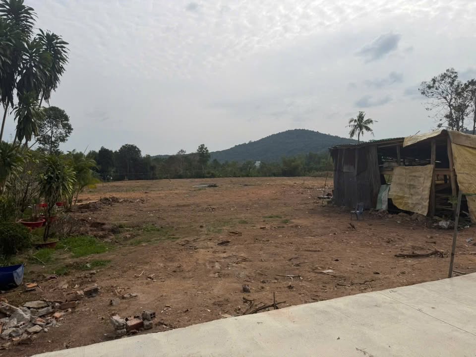 Bán đất Phú Quốc 500m² Cây Thông Ngoài - Giá F0 đầu tư sinh lời!