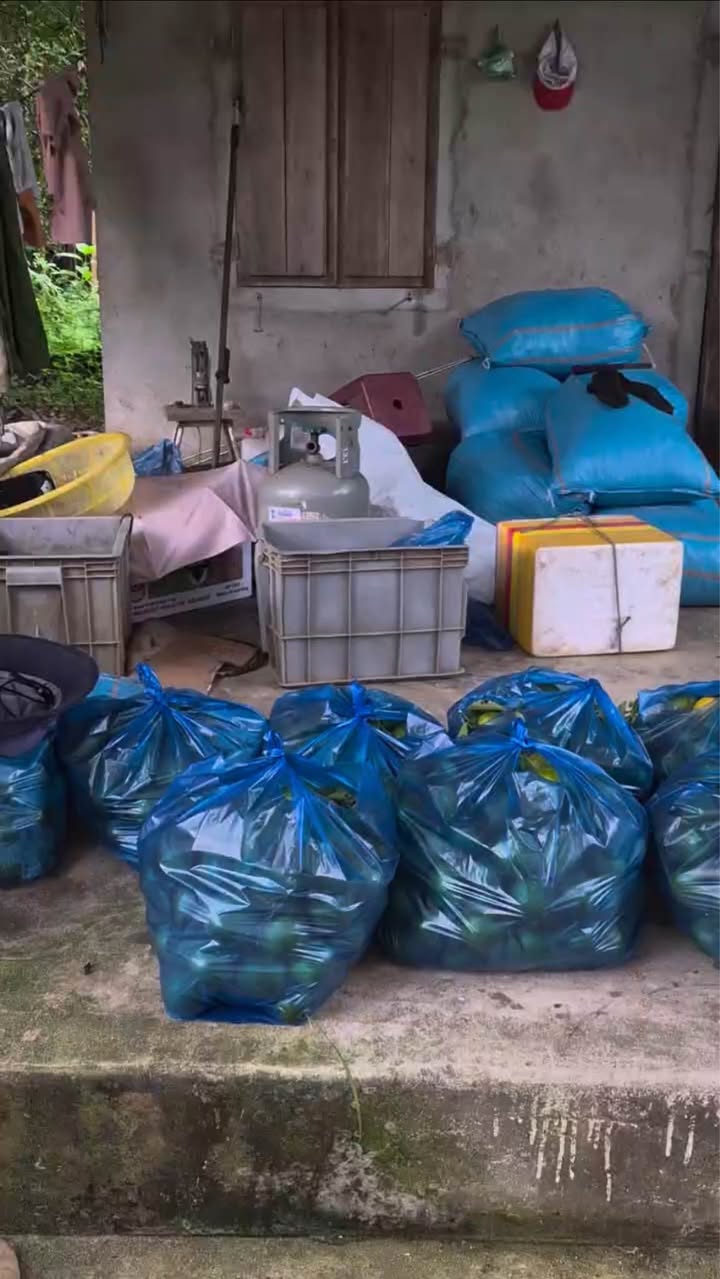 Bán Đất Vườn 3.2ha Diên Khánh - Có Suối, Nhà, Cây Ăn Quả Thu Hoạch