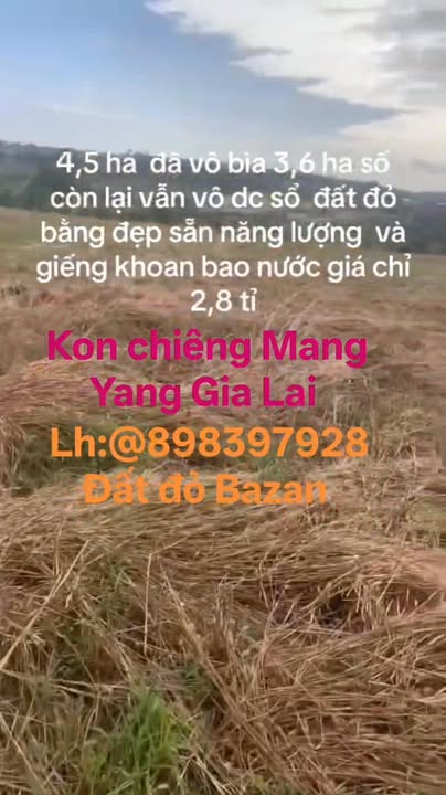 Đất Đỏ Bazan Gia Lai 4.8ha - Sổ Đỏ Sẵn Sàng - Giá Đầu Tư 2.8 Tỷ