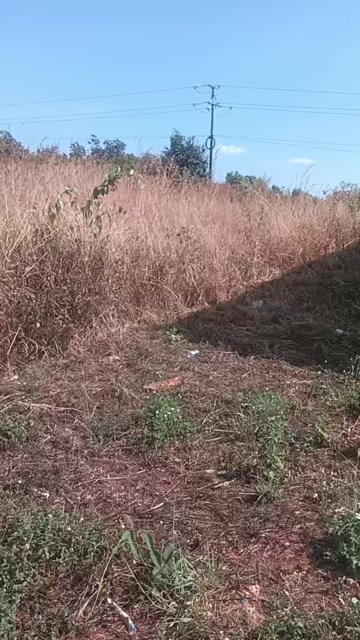 Đất nền Ia Kha, Ia Grai 95m² giá 500 triệu - Sổ đỏ chính chủ!