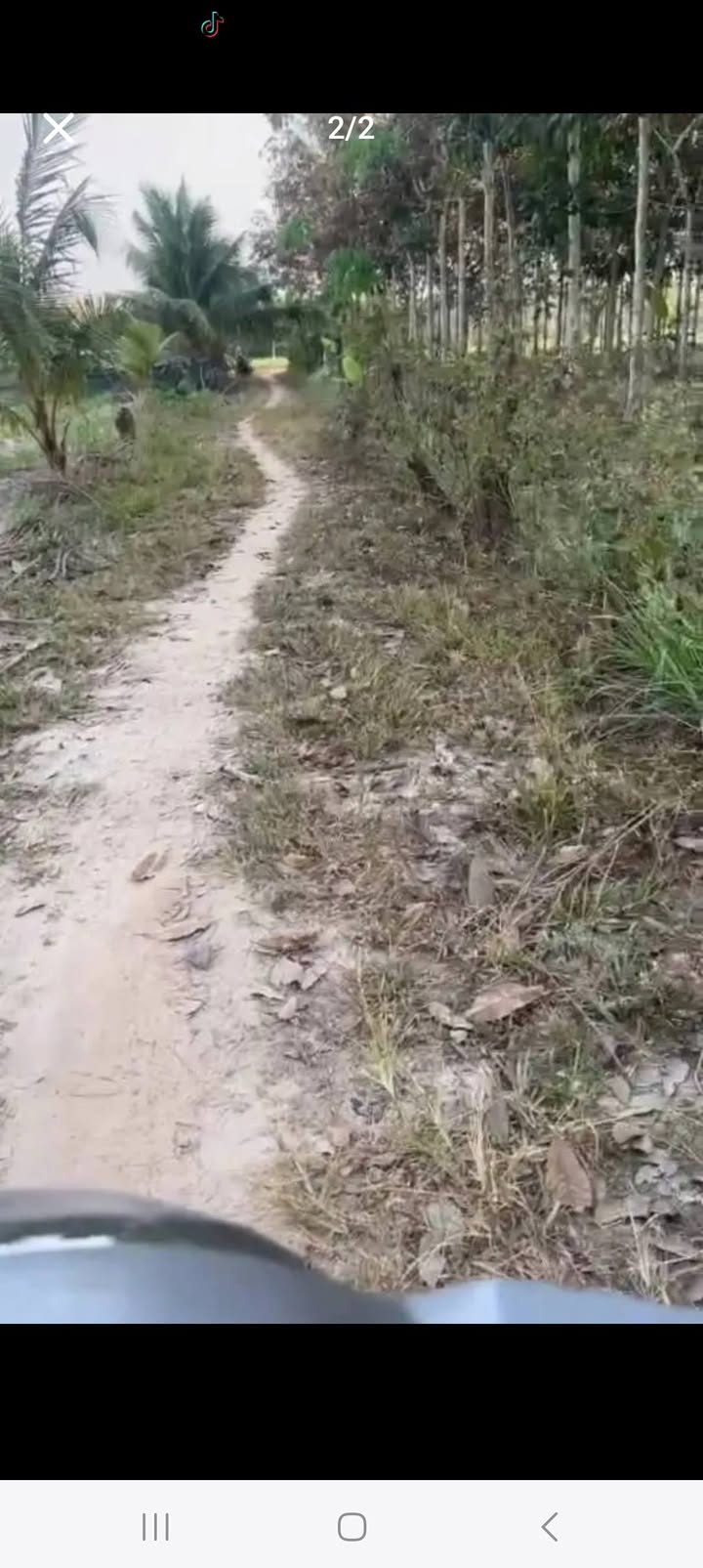 Bán Gấp 15.000m² Đất Trồng Cao Su Tại Xã Trà Vong, Tân Biên - Giá 1.2 Tỷ