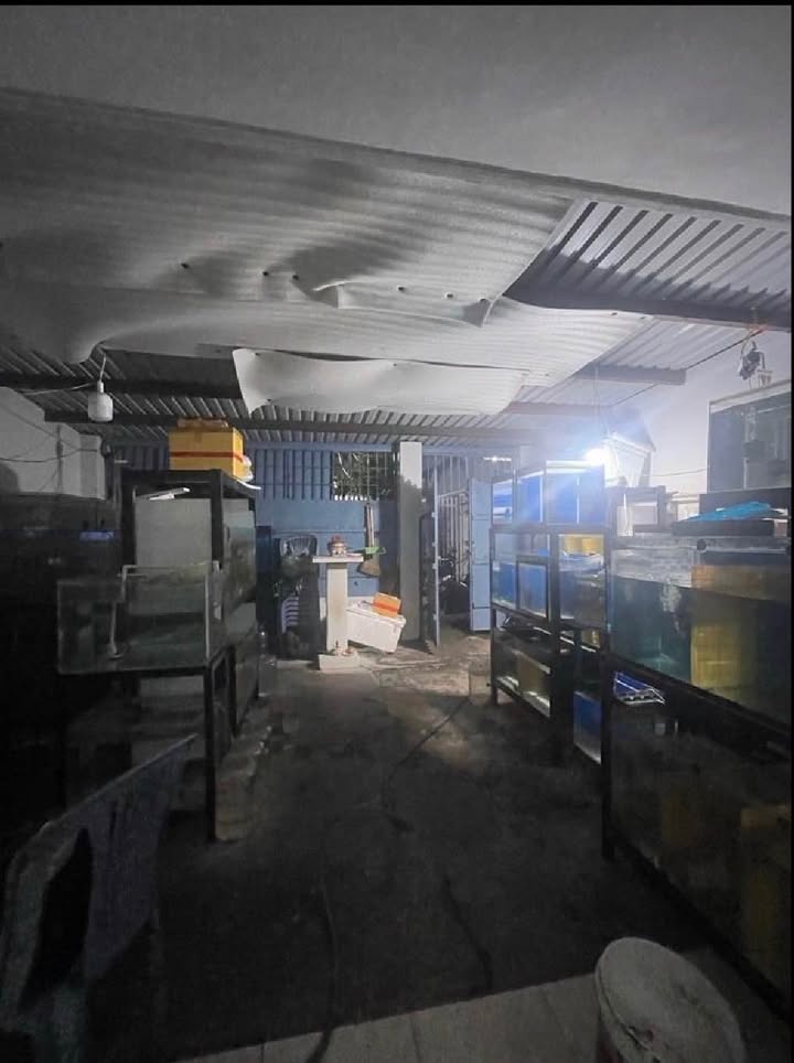 Đất nền 117.4m² Hẻm 141 Lưu Hữu Phước Q.8 - Pháp lý rõ ràng