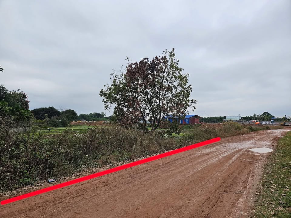 Đất vườn Thái Nguyên 645m² giá rẻ - Đầu tư dài hạn sinh lời!