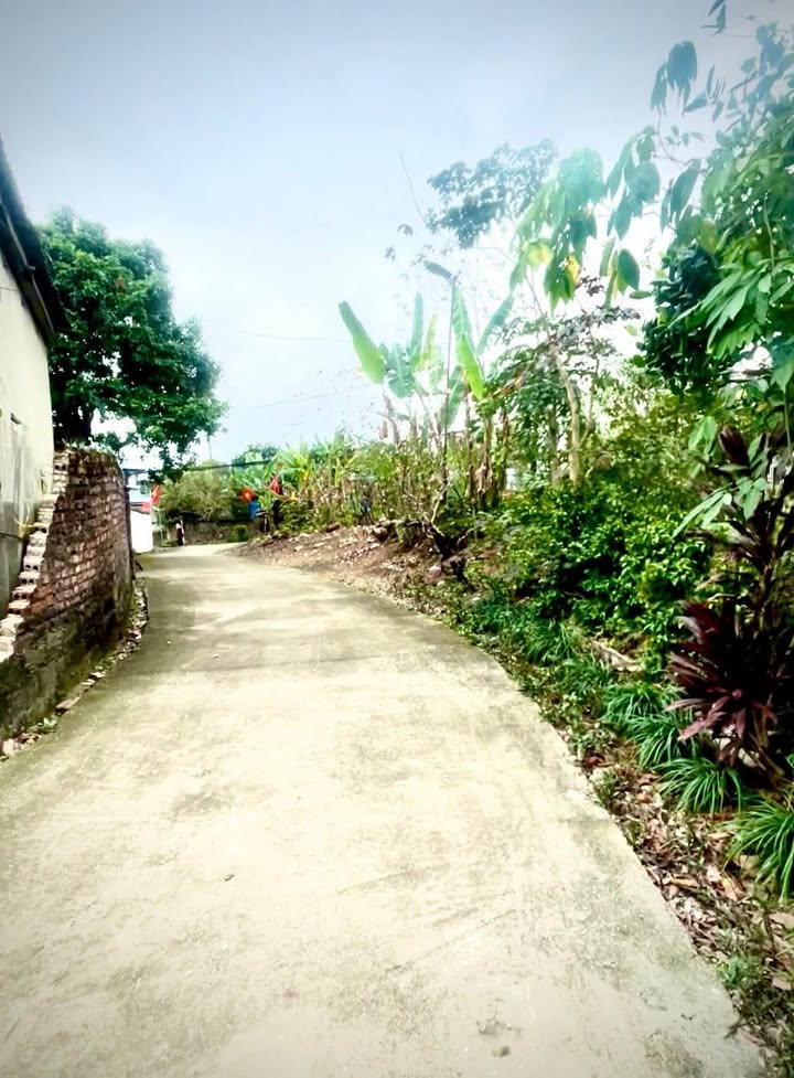 Đất nền Linh Sơn 119m² - Sổ đỏ chính chủ, ô tô tránh nhau!