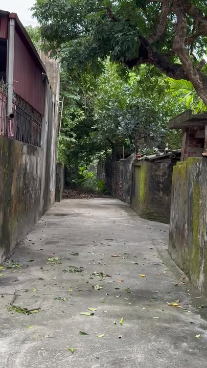 Đất nền Kim Động Hưng Yên 373m² giá 2.98 tỷ - Tiềm năng tăng giá cao!