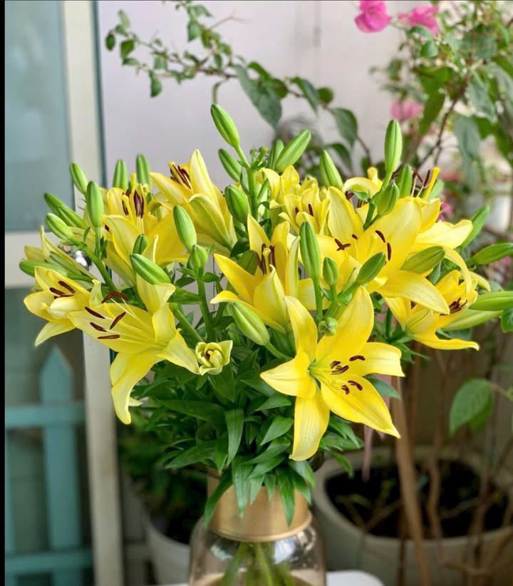 Nhà Mặt Tiền Trần Nguyên Hãn, Hải Phòng - 90m² x 4.5 Tầng, Kinh Doanh Đỉnh Cao