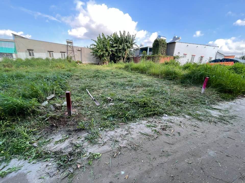 Đất Nền Xuân Lộc Đồng Nai 130m² Sổ Đỏ, Vị Trí Đắc Địa