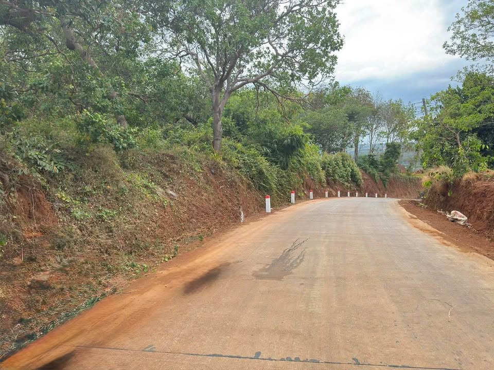 Đất vườn Bình Giã, Châu Đức 2.78ha - Đầu tư dài hạn sinh lời!