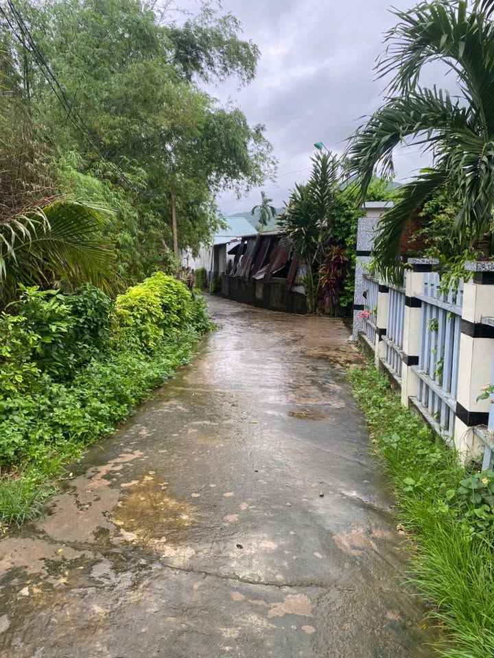 Đất Nền Hoài Mỹ 70m² - Đường Ô Tô - Giá Tốt 3xx Triệu