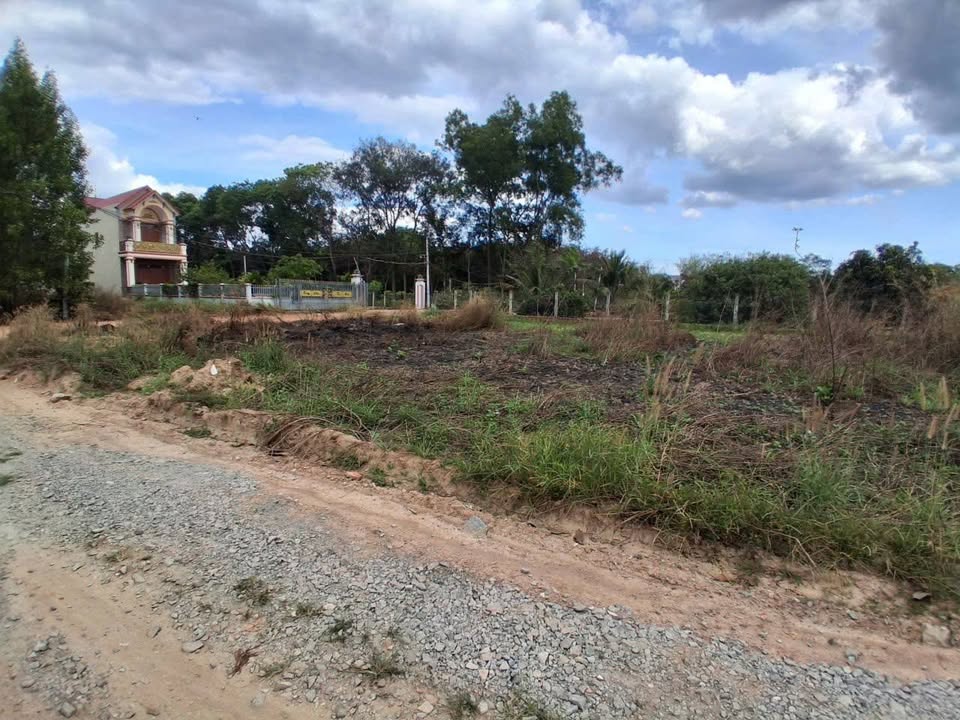 Đất nền Bình Mỹ 1380m² - Tiềm năng tăng giá vượt trội!