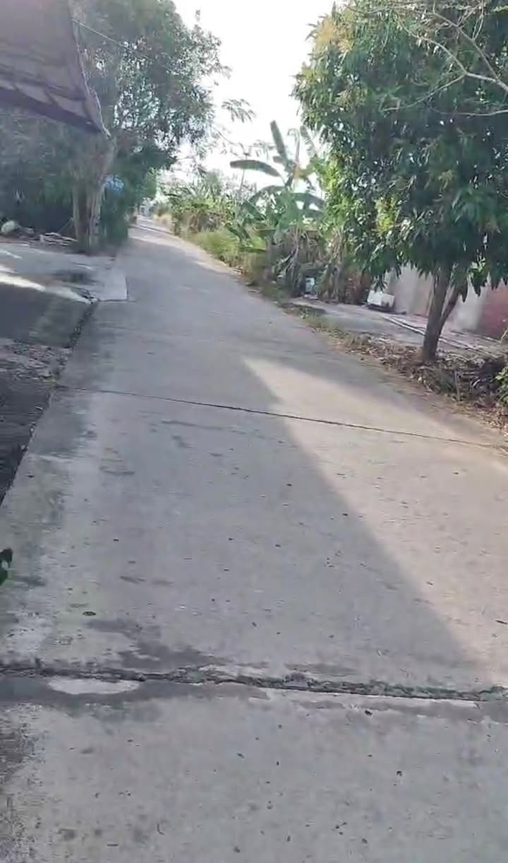 Đất Nền Cà Mau 450m² Giá 199 Triệu - Sổ Hồng Sẵn Sàng