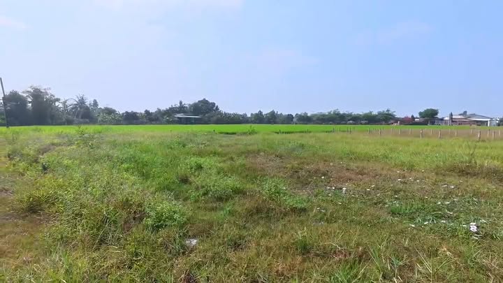 Bán Đất Thổ Cư 450m² Mặt Tiền Nguyễn Văn Dư, Tân Trụ - Sẵn Sổ Hồng