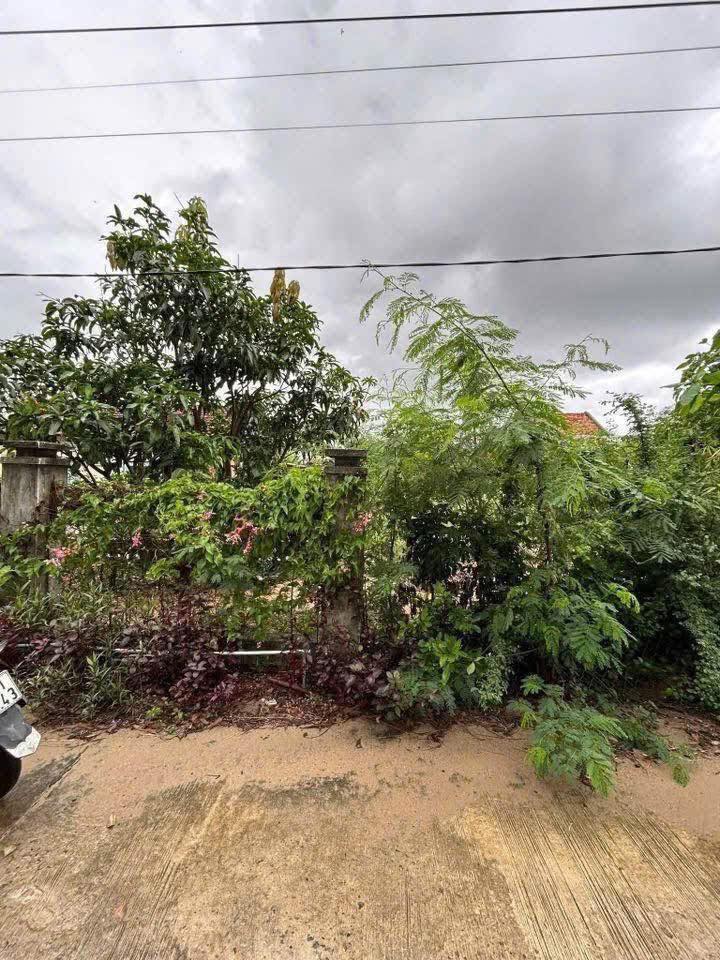 Đất nền Phú Hòa Đông Hòa 163m² - Tiềm năng tăng giá vượt trội!