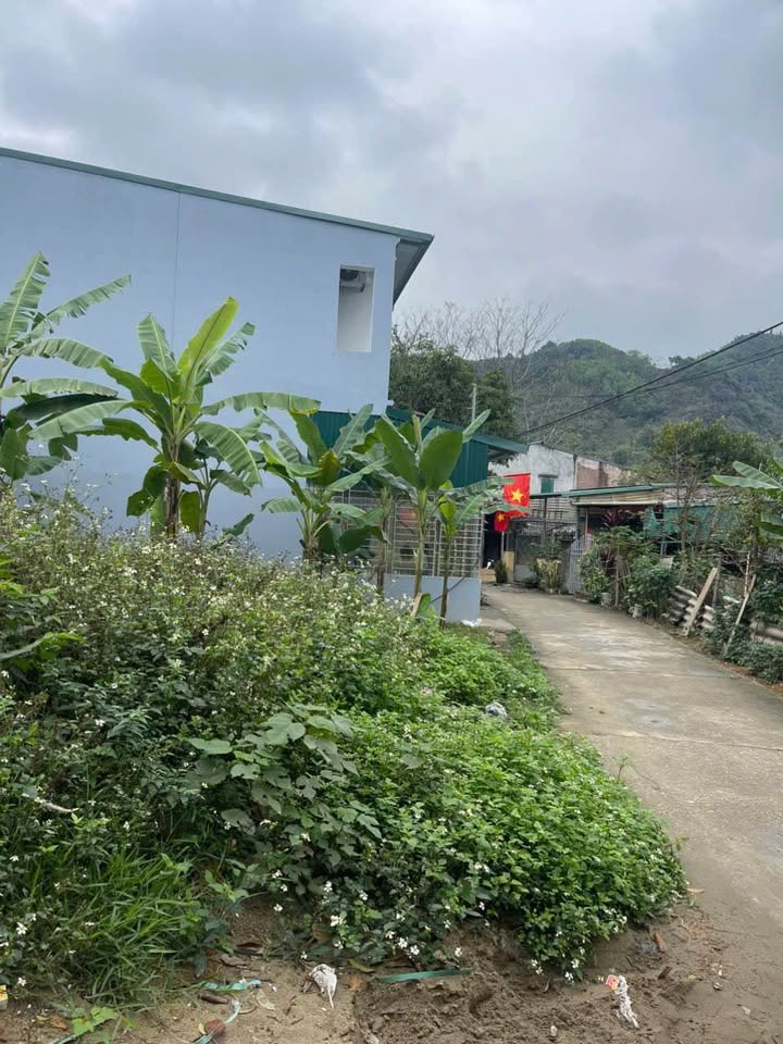 Đất nền Tổ 10 Nông Tiến, TP Tuyên Quang 80m² - Sổ đỏ chính chủ, ô tô vào tận nơi!