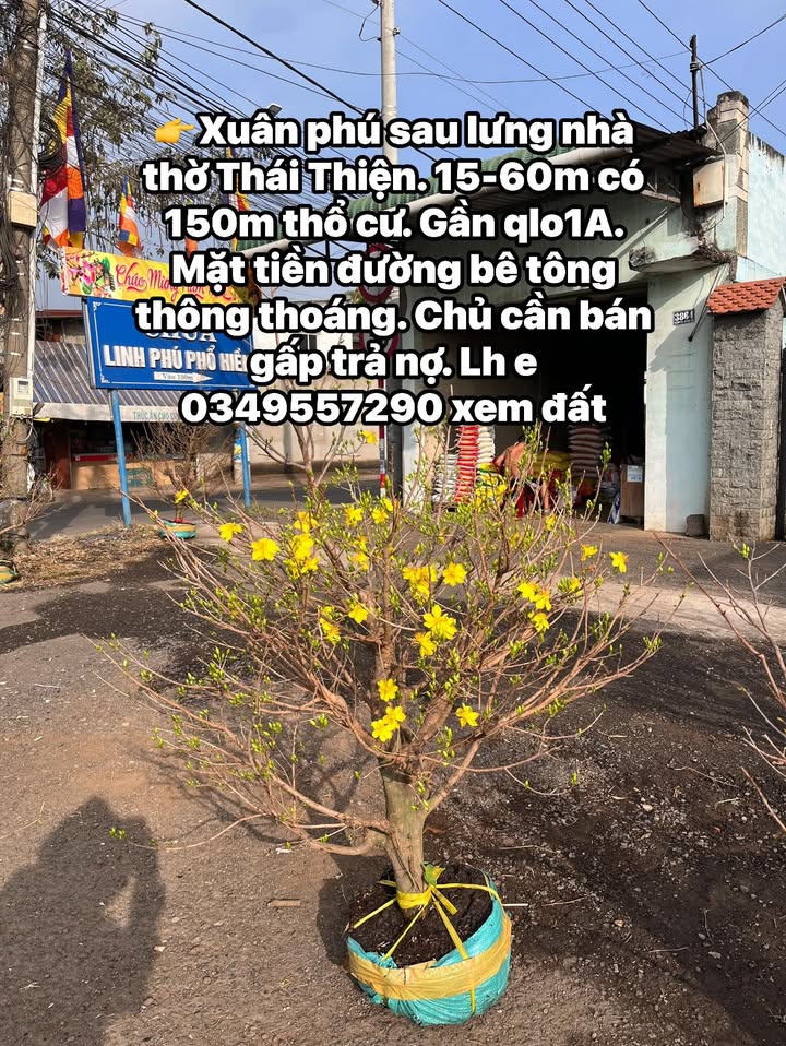 Đất Nền 150m² Xuân Phú, Đồng Nai - Chính Chủ Bán Gấp