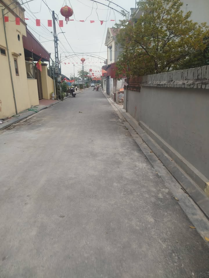 Đất nền Thôn Đồng, Nguyên Khê 76m² - Sổ đỏ chính chủ, tiềm năng sinh lời!