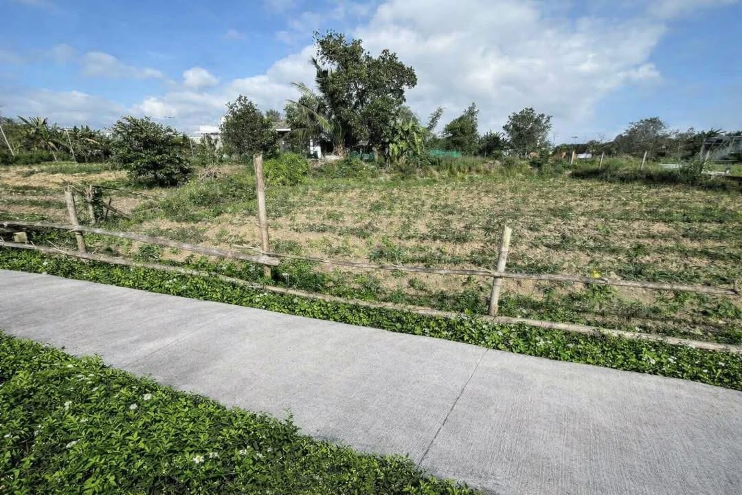 Đất Nền Duy Xuyên 89.4m² - Đầu Tư Sinh Lời 3xx Triệu