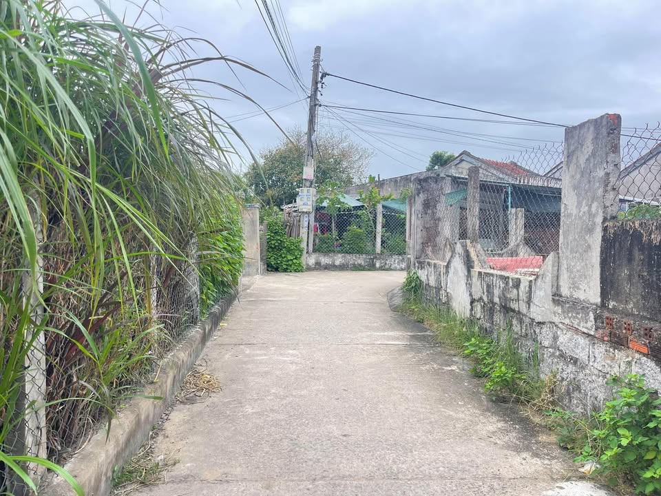 Bán đất 254m² Thổ Cư - Phú Hoà, Phú Yên - Sổ đỏ sẵn sàng