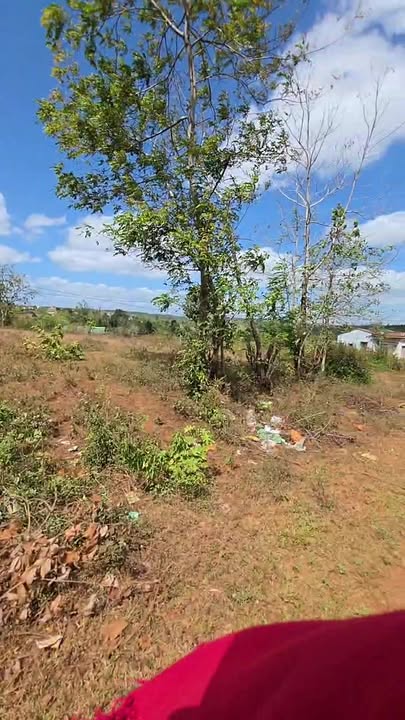 Đất Vườn Mặt Tiền 57m Đường Nhựa 300m² Ea Kung, Tuy Hòa - Đầu Tư Sinh Lời