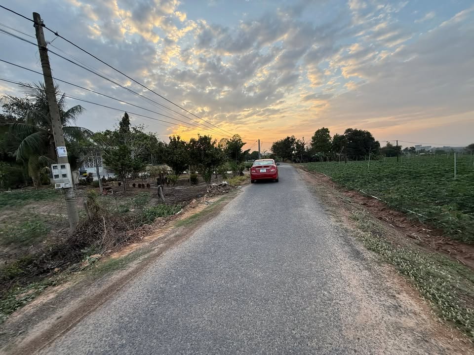 Đất nền Ấp Trường Hảo Đước, Dầu Tiếng 1000m² – Đất thổ cư 100%