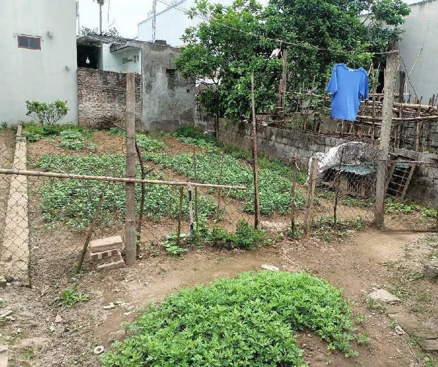 Đất Vạn Phúc Hà Đông 81m² Sổ Đỏ Nở Hậu - Giá Hơn 5 Tỷ