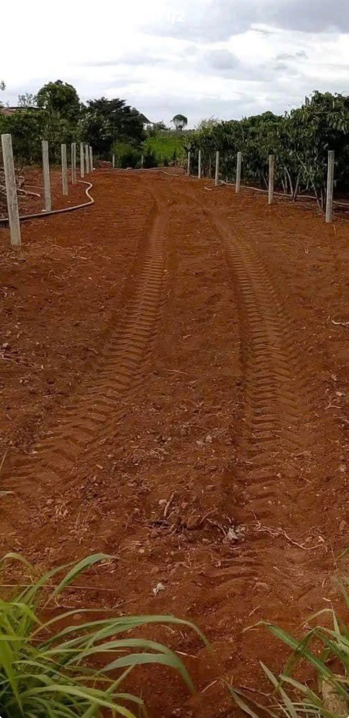 Đất nền Tân Thành, Đức Trọng 378m² chỉ 900 triệu - Sổ hồng sẵn!