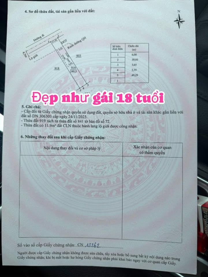 Đất nền Tân Hội, Đức Trọng 240m² giá 730 triệu - Sổ đỏ chính chủ