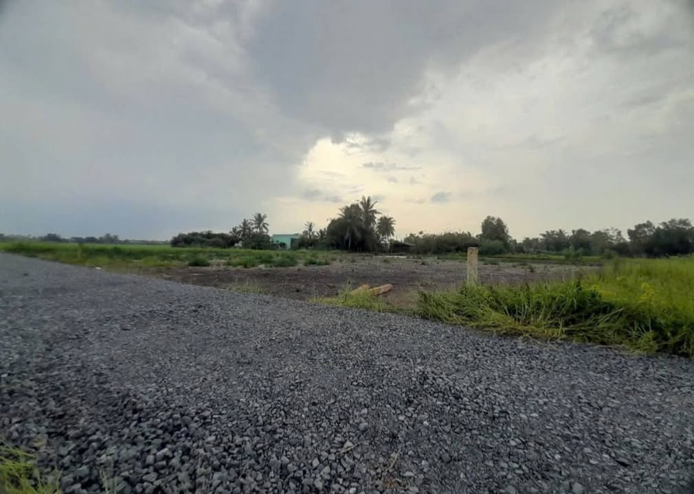 Đất Vườn 1000m² Sổ Hồng Riêng, Xã Nhựt Tảo, Long An - Giá 600 Triệu