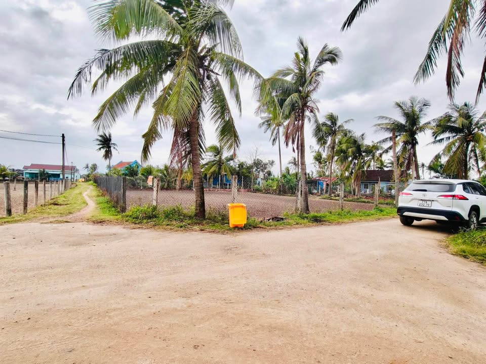 Đất Nền Phù Cát - Cát Trinh 100m² Giá F0 Chỉ 200 Triệu