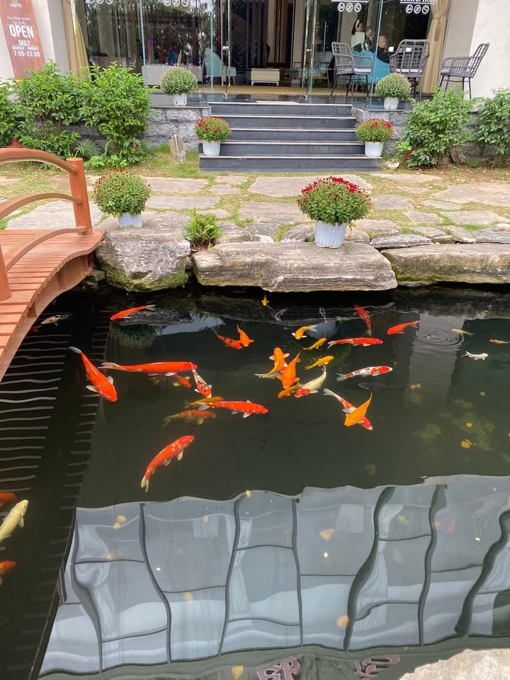 Lô đất Đông Văn, Quảng Đông 123m² - Tiềm năng tăng giá vượt trội!