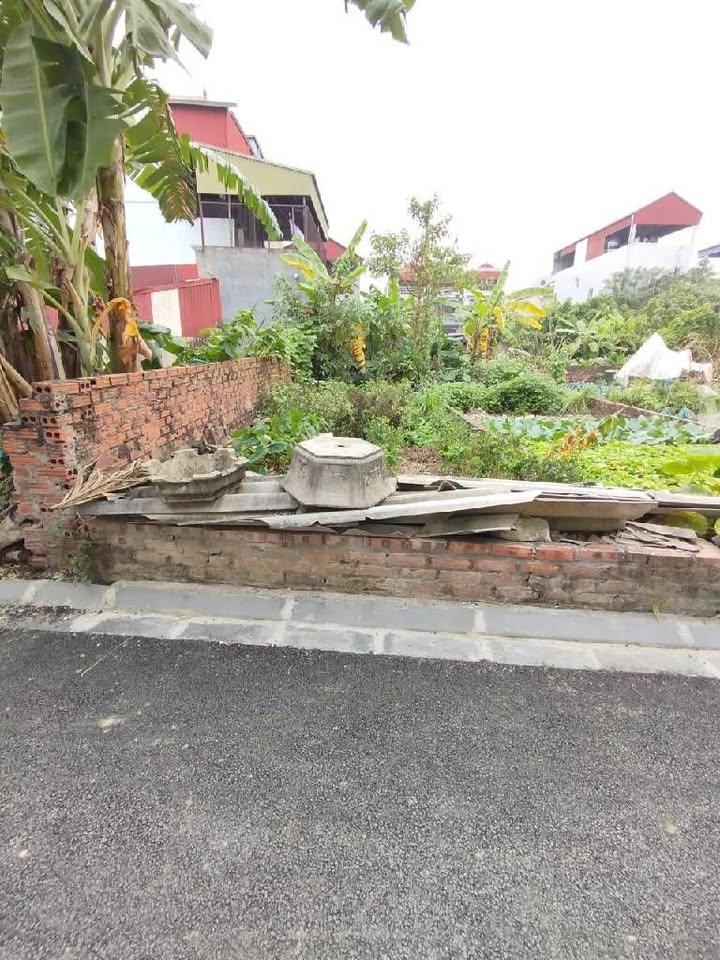 Đất nền Đông Anh 45m² - Sổ đỏ sẵn, giá hơn 2.6 tỷ