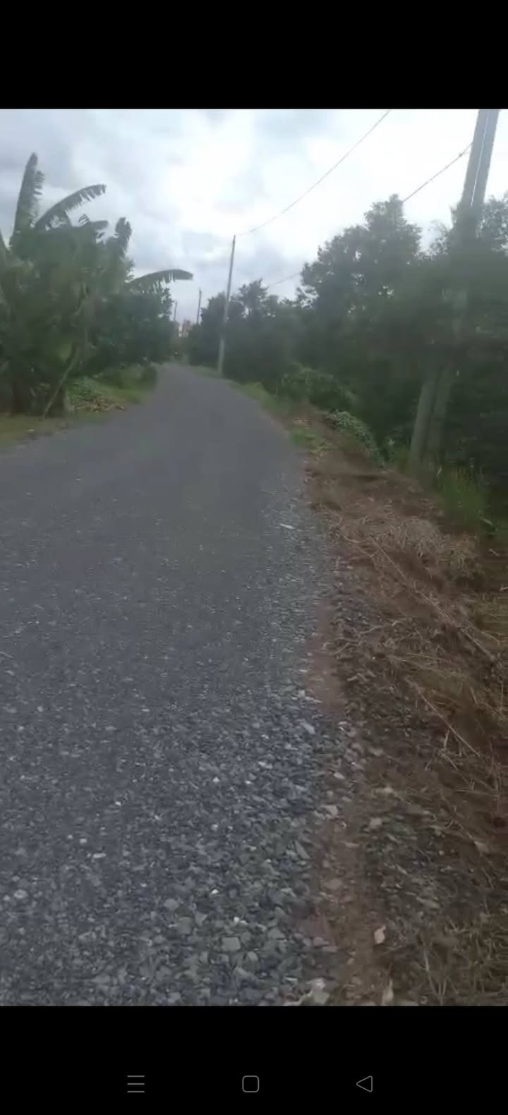 Đất Vườn Tiền Giang 2500m² - Cơ Hội Đầu Tư Vàng Cạnh Sông Cửu Long