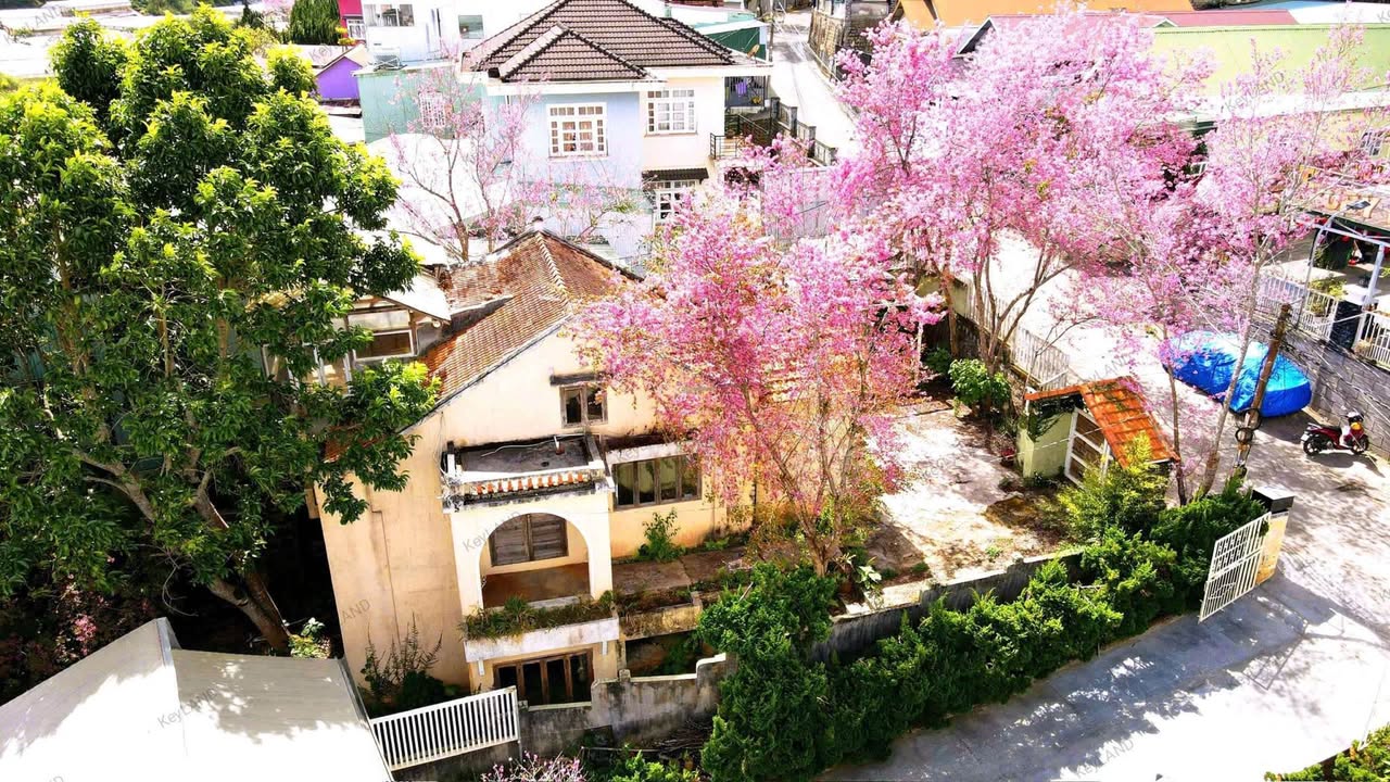 Nhà Đà Lạt Đường Hùng Vương 400m² – Ô tô vào tận nhà, sổ hồng sẵn!