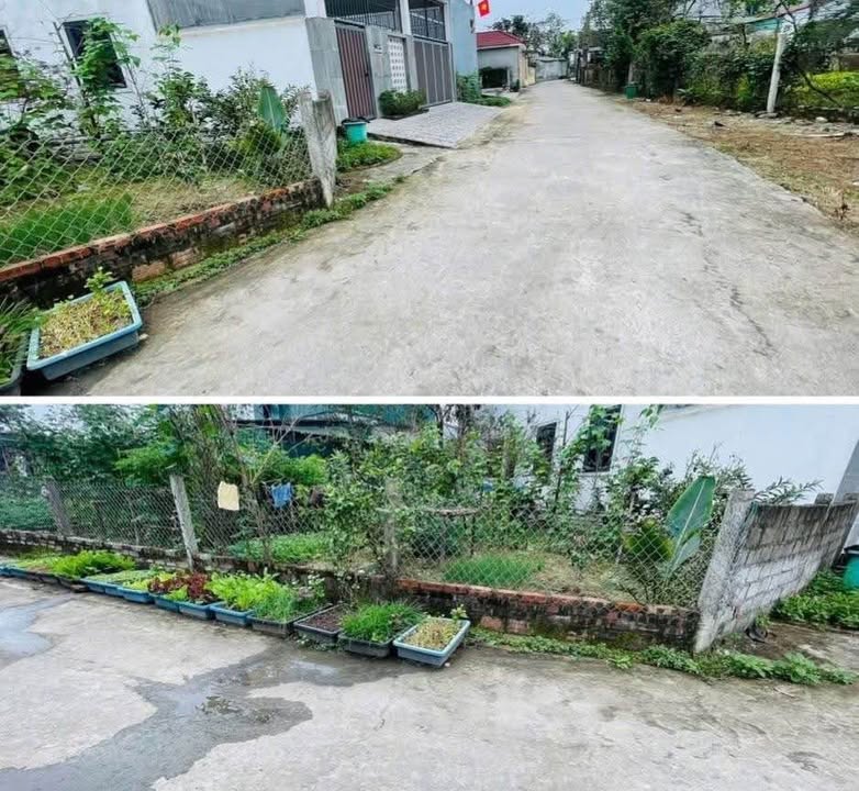 Bán đất 233m² Thạch Quý, Hà Tĩnh - Sổ đỏ sẵn, hướng Đông mát mẻ