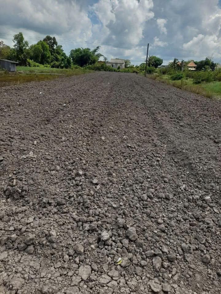 Đất Lúa Tân Tây, Thạnh Hóa 6.423m² - Cơ Hội Đầu Tư Sinh Lời!