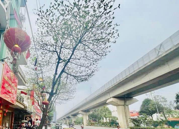 Nhà Phố Quang Trung, Hà Đông 46m² - Mặt tiền kinh doanh đỉnh!