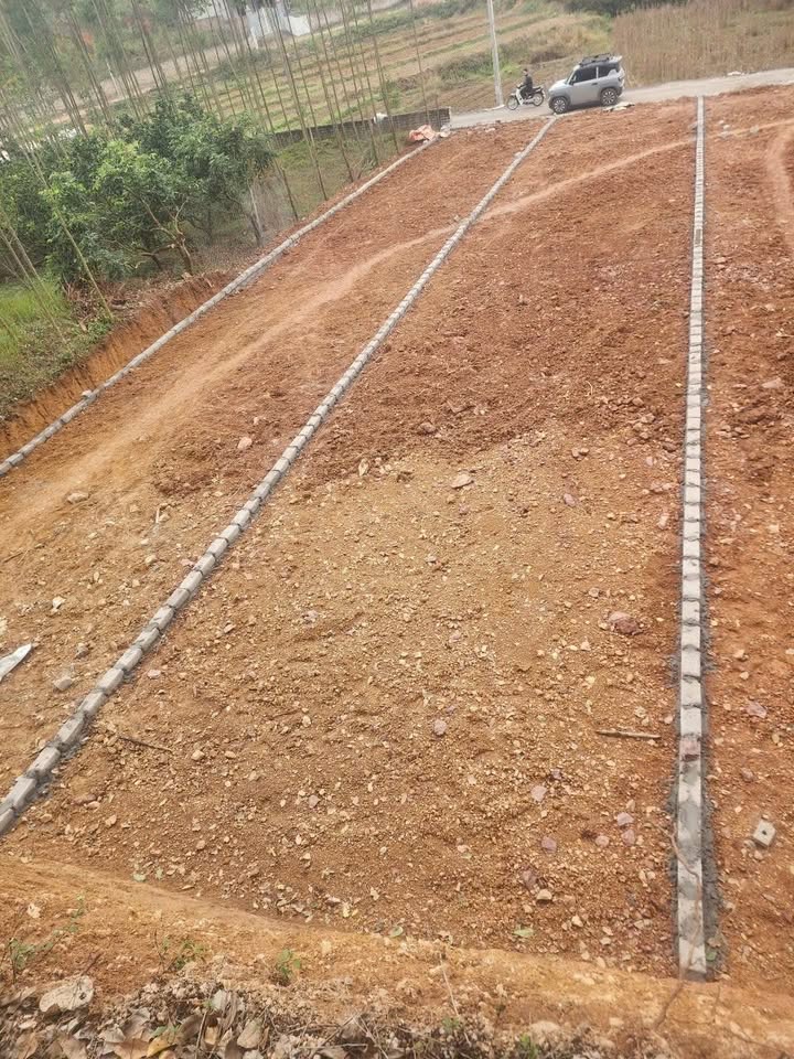 Đất nền Lạng Giang Bắc Giang 160m² Sổ đỏ chính chủ - Hạ tầng hoàn thiện