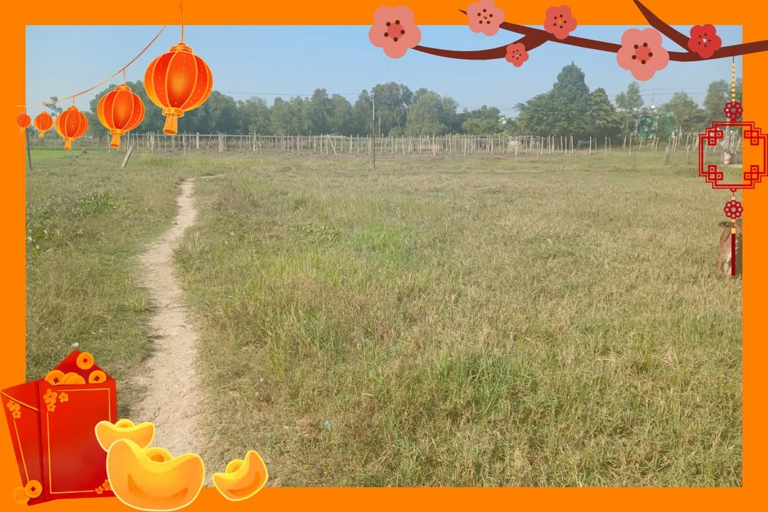 Đất Vườn La Gi 728m² - Sổ Hồng Sẵn Sàng - Giá Đầu Tư 650 Triệu