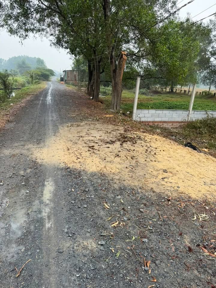 Đất nền Tân Thông Hội Củ Chi 529m² giá 1.48 tỷ - Tiềm năng tăng giá!