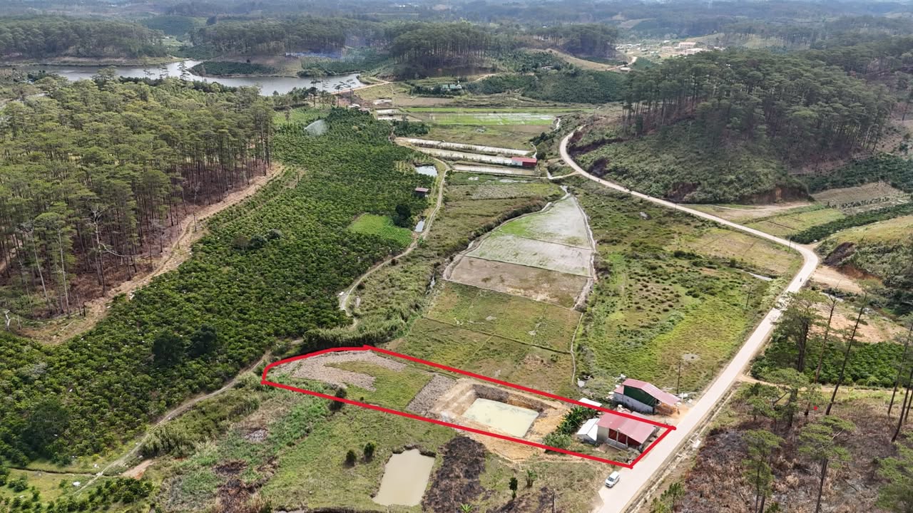 Bán đất vườn Phi Liêng Đam Rông 2000m² giá 850 triệu - Đầu tư dài hạn tốt!